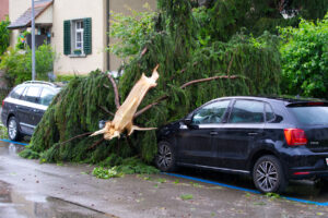 Vehicle Damage