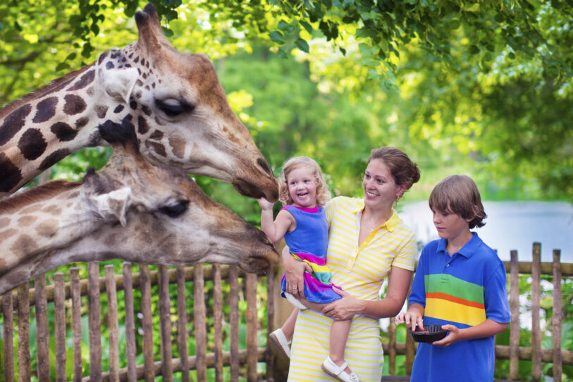 What Happens if I Get Injured at the Audubon Zoo in New Orleans?